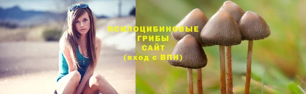 мдпв Няндома