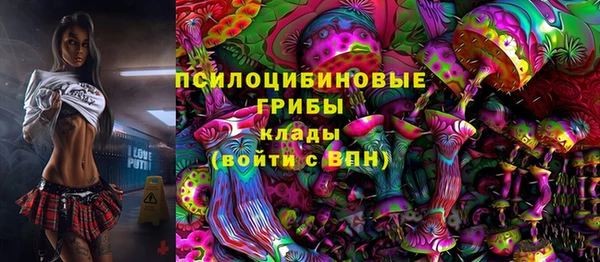 шишки Армянск