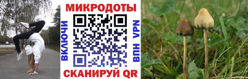 Галлюциногенные грибы MAGIC MUSHROOMS  Купить закладки  Владивосток 